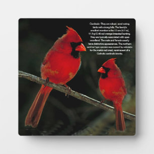 PLACA EXPOSITORA CARDINALES