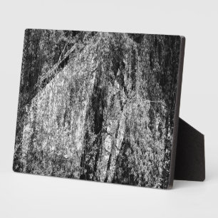 Placa Expositora casa de vida