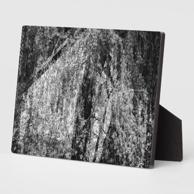 Placa Expositora casa de vida (Lado)