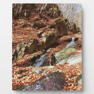 Placa Expositora Cascada de Montaña - Naturaleza Salvaje Rumania