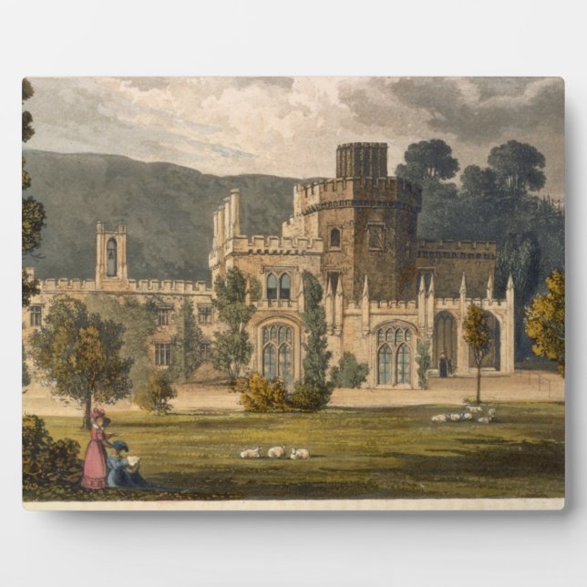 Placa Expositora Castillo de Luscombe, Devon (color litho) (Frente)