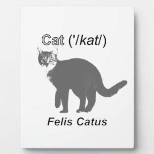Placa Expositora Cat Felis Catus