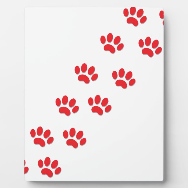 Placa Expositora Cat Paws Feet (Frente)