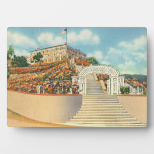 Placa Expositora Catalina