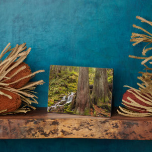 Placa Expositora Cataratas de ramas blancas, cascadas de Oregón, Or