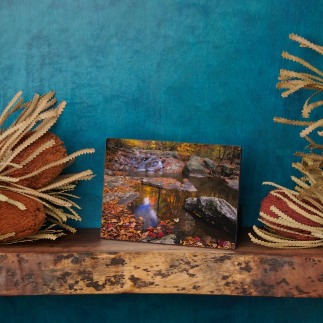 Placa Expositora Cataratas del Alto Whiteoak, Parque Nacional Shena (Lado)