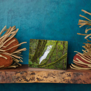 Placa Expositora Cataratas del velo