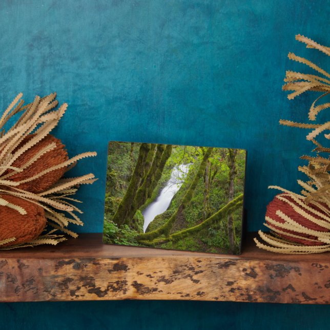 Placa Expositora Cataratas del velo (Lado)