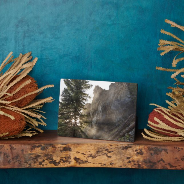 Placa Expositora Cataratas Holland | Bosque nacional de Lolo, Monta (Lado)