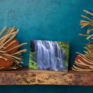 Placa Expositora Cataratas proxy en la cascada central de Oregón