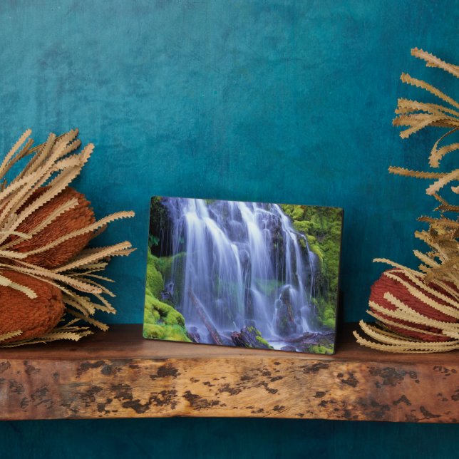 Placa Expositora Cataratas proxy en la cascada central de Oregón (Lado)