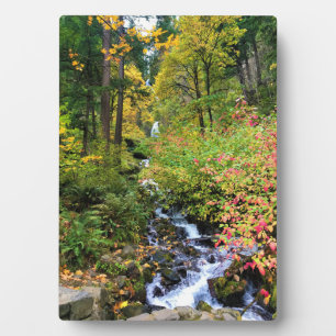 Placa Expositora Cataratas Wahkeena, desfiladero del río Columbia,