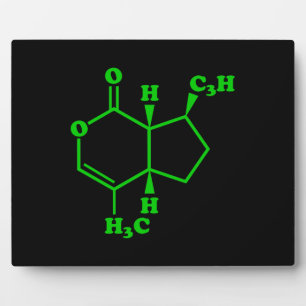 Placa Expositora Catnip Nepetalactona Fórmula Química Molecular