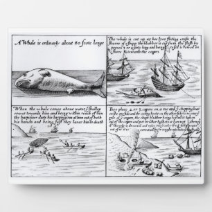 Placa Expositora Caza de ballenas en Spitzbergen en 1611 (grabado)