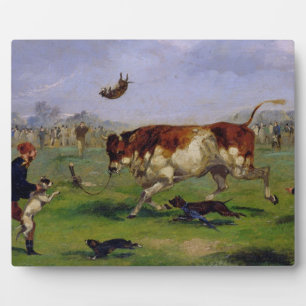Placa Expositora Cazado de toros (aceite sobre papel colocado sobre