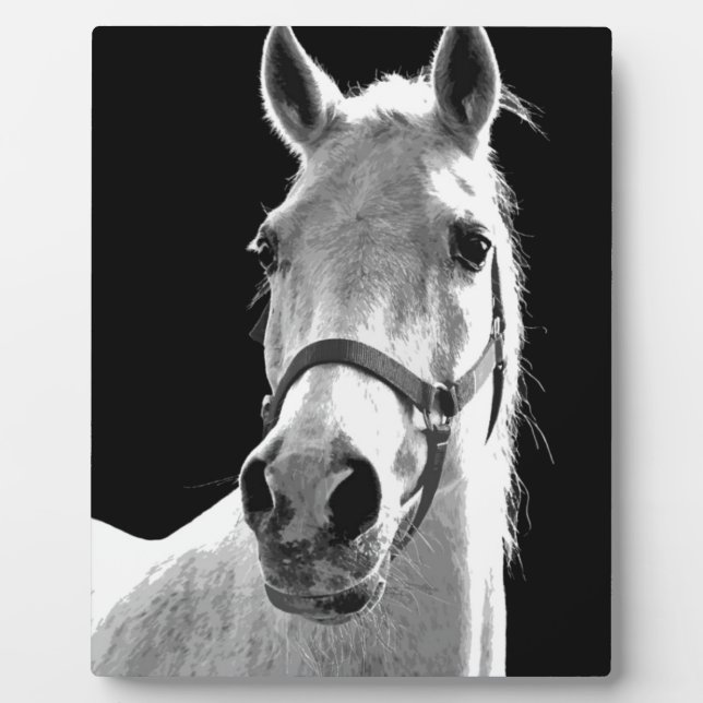 Placa Expositora Cerco del caballo blanco negro en la noche (Frente)