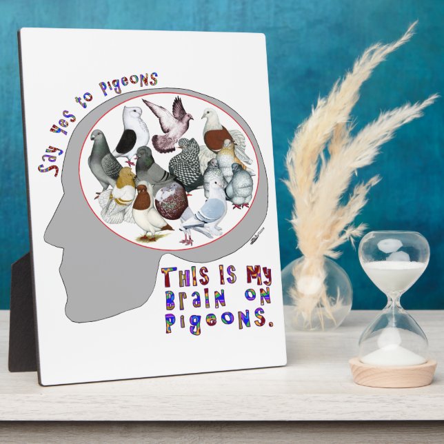 Placa Expositora Cerebro En Las Cerdo (Lado)