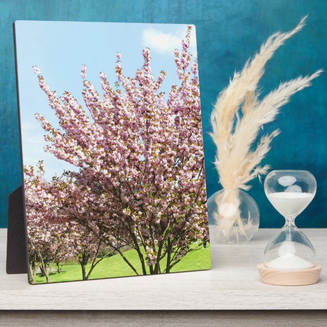 Placa Expositora Cerezo en flor (Lado)