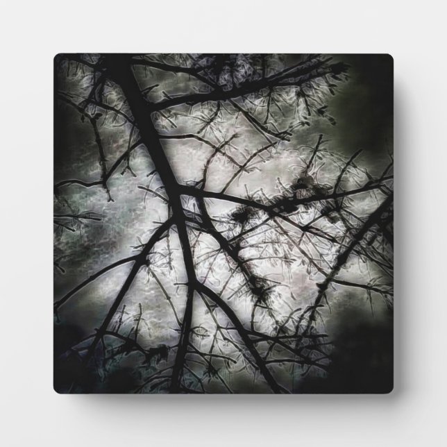 Placa Expositora Cerrando (Frente)