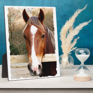 PLACA EXPOSITORA CHESTNUT HORSE
