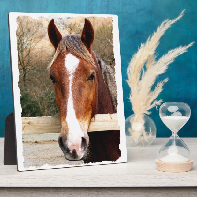 PLACA EXPOSITORA CHESTNUT HORSE (Lado)