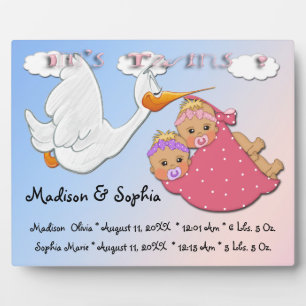 Placa Expositora Chicas gemelos - Stork Keepsake Plaque con comadre