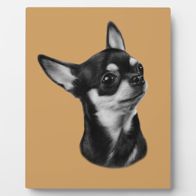 Placa Expositora Chihuahua (Frente)