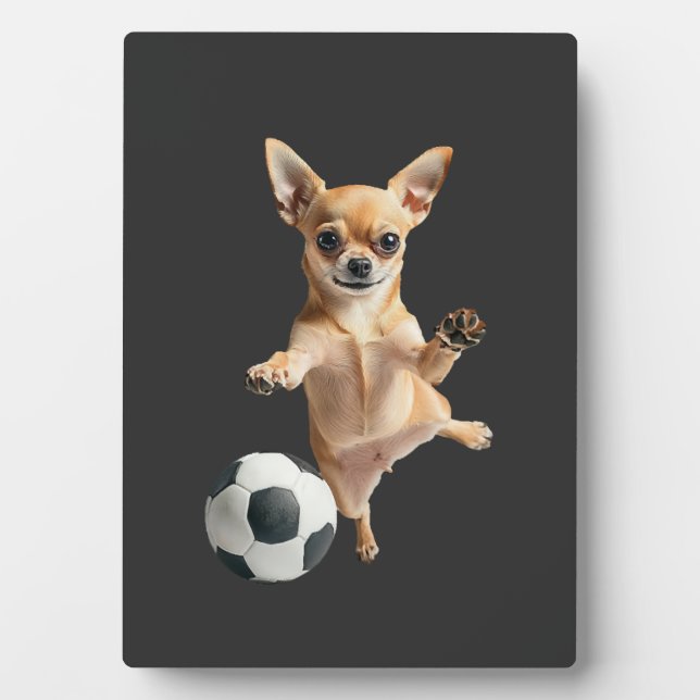 Placa Expositora Chihuahua  (Frente)