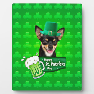 Placa Expositora Chihuahua Cuppy Dog St. Patrick's Day Green Clover