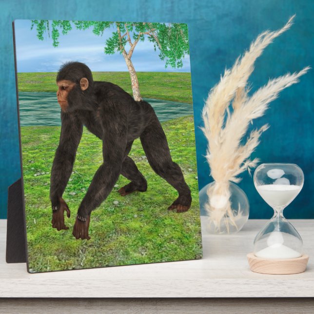 Placa Expositora Chimpancé (Lado)