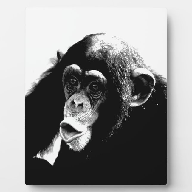 Placa Expositora Chimpancé blanco negro (Frente)