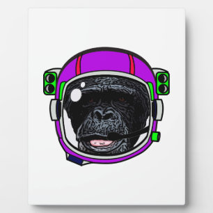 Placa Expositora Chimpancé espacial