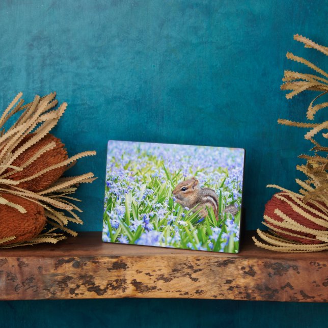 Placa Expositora Chipmunk Art Decor Plaque (Lado)