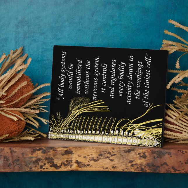 Placa Expositora Chiropráctico Sistema Nervioso Cita Easel (Lado)