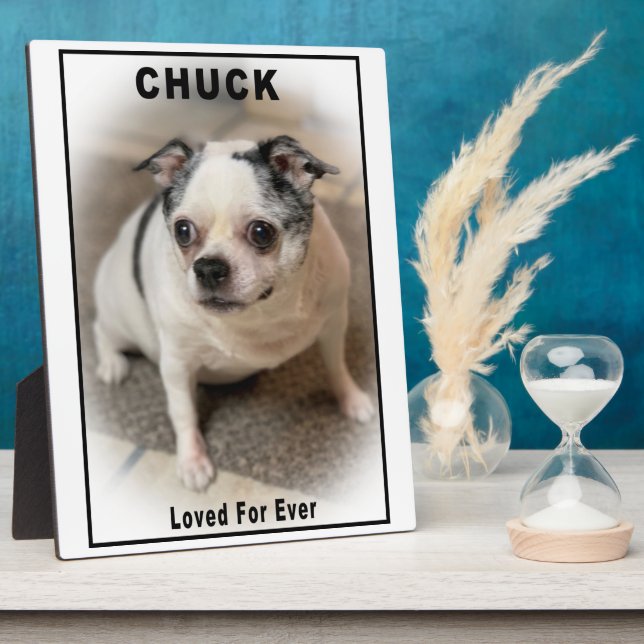 Placa Expositora Chuck (Lado)