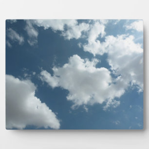Placa Expositora Cielo