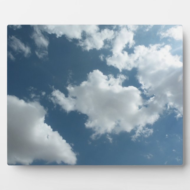 Placa Expositora Cielo (Frente)