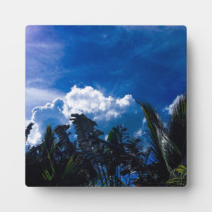Placa Expositora Cielo Azul Brillante Con Nubes
