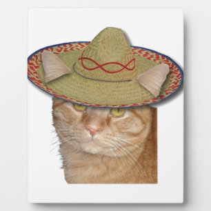 Placa Expositora Cinco de Gato
