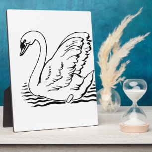 Placa Expositora Cisne elegante
