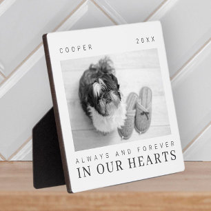 Placa Expositora Cita de recuerdo de mascota simple foto chic moder