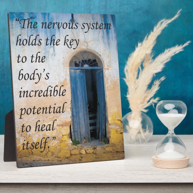 Placa Expositora Clave quiropráctica de la anguila sanitaria (Lado)