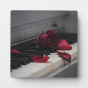 Placa Expositora Claves de piano con una rosa roja
