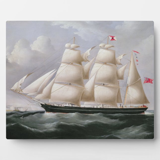 Placa Expositora Clipper Barque 'Procymatia' de Dover (aceite en ca (Frente)