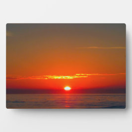 Placa Expositora Coastal Carolina Sunrise