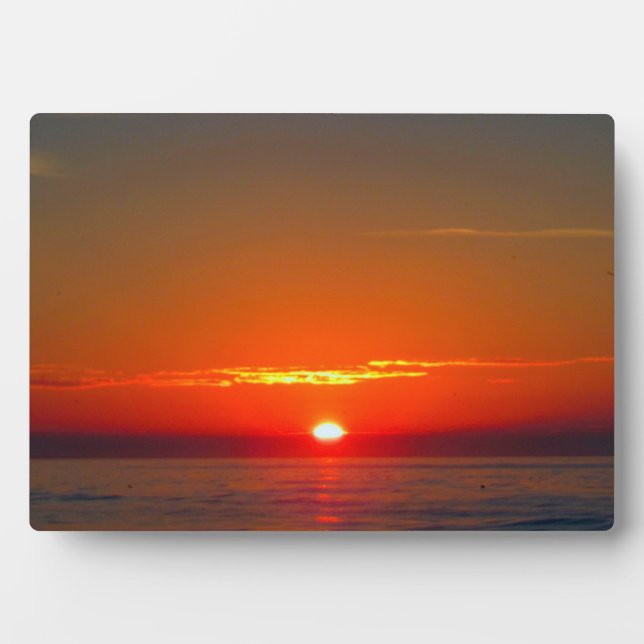 Placa Expositora Coastal Carolina Sunrise (Frente)