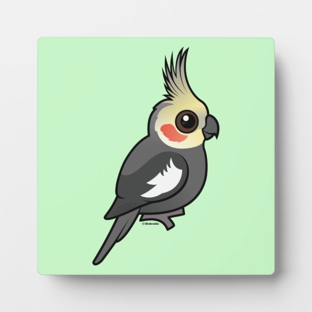 Placa Expositora Cockatiel (Frente)