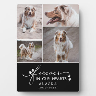 Placa Expositora Colage de fotos de mascotas Black Forever In Our H