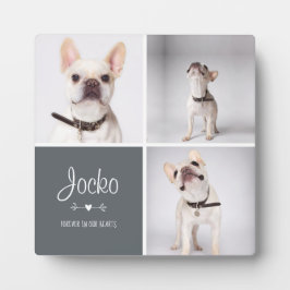 Placa Expositora Colage de Fotos Recordatorio de Mascota Fallecida 