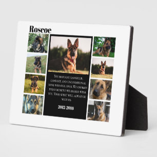 Placa Expositora Colaje de Fotos de Recuerdo de Mascota